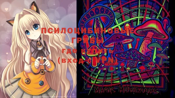 мескалин Белокуриха