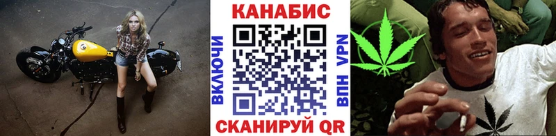 Бошки Шишки план  Михайловск 